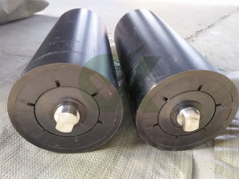 conveyor head roller